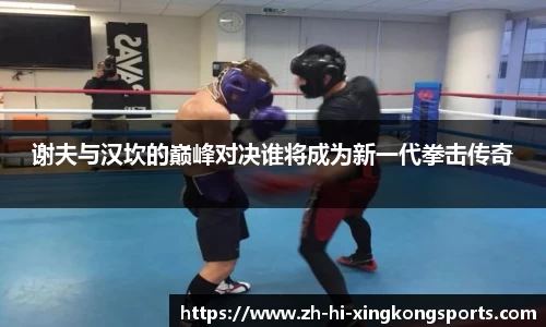 谢夫与汉坎的巅峰对决谁将成为新一代拳击传奇